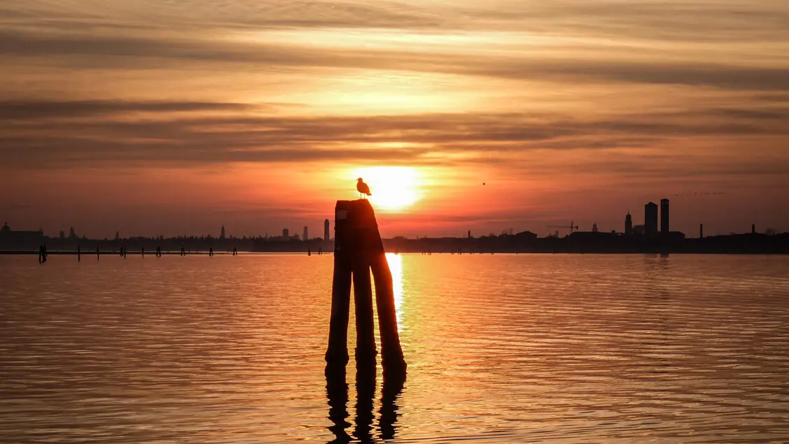 Luxury Escape Venice Boat Tour in the Venetian Lagoon 27